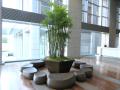 季節の寄植え