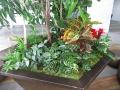 植栽／オフィス