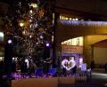 2010　Valentine Display