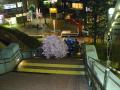 2010さくらDisplay作業風景