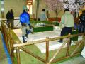 2010さくらDisplay作業風景