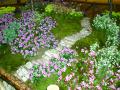 2010さくらDisplayフェイク花