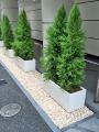 街路植栽・砂利