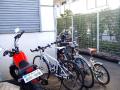 自転車祭