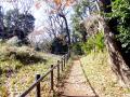 THE TSUNASHIMA1